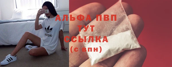 мяу мяу мука Абаза