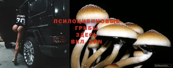 мяу мяу мука Абаза