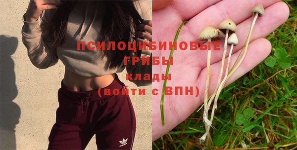 2c-b Абинск