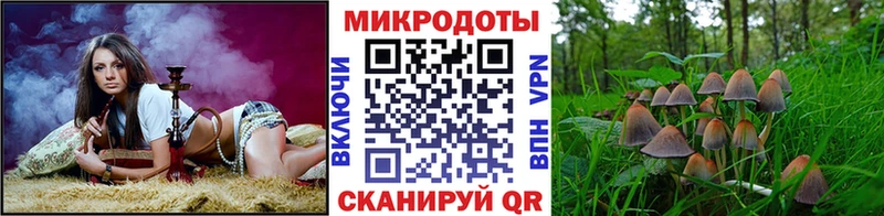 что такое   Сурск  Псилоцибиновые грибы GOLDEN TEACHER 